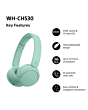 Sony WHCH530G.CE7 Wireless Over-Ear Headphones Mint Green