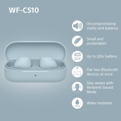 WFC510L.CE7 Wireless In ear headphones - Blue