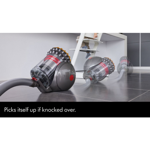 Dyson BIGBALLANIMAL2 Big Ball Animal 2 Vacuum Cleaner - Grey Cylinder