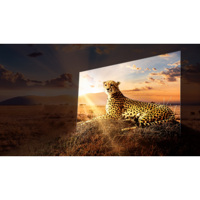 Hisense 65A9HTUK 65inch 4K UHD HDR OLED Freeview Smart TV