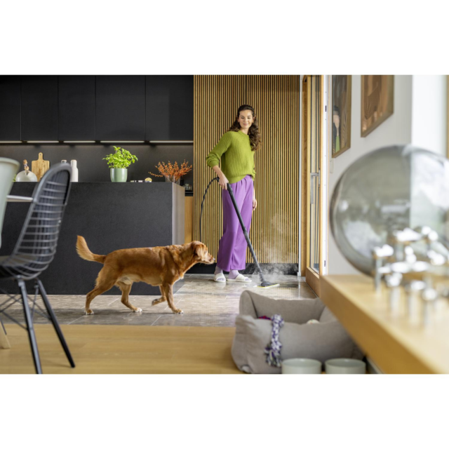 Karcher SC3 Karcher SC 3 EasyFix Steam Cleaner - White
