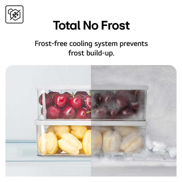 LG GBBSJ10DPY Total No Frost Fridge Freezer