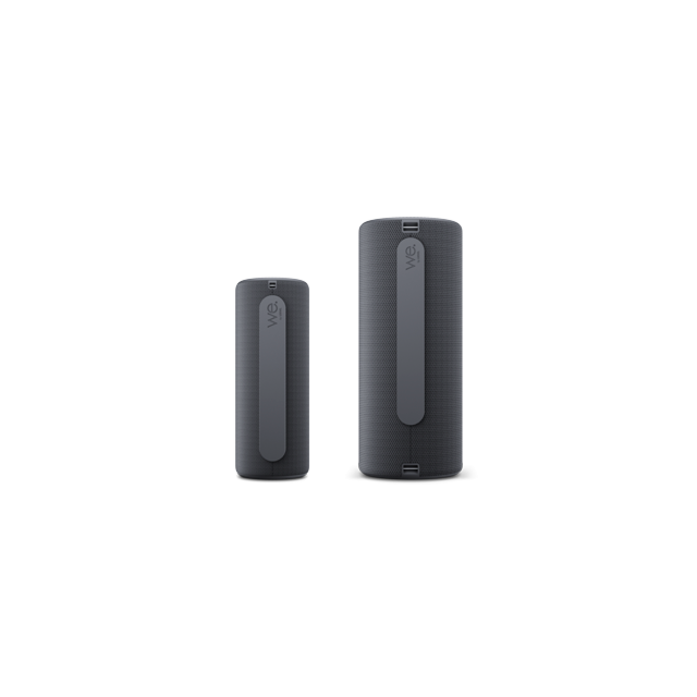 Loewe WEHEAR2SG Portable Speaker - Storm Grey