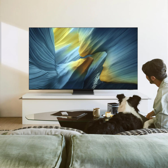 Samsung QE83S95FAEXXU 83inch 4K OLED Smart AI TV