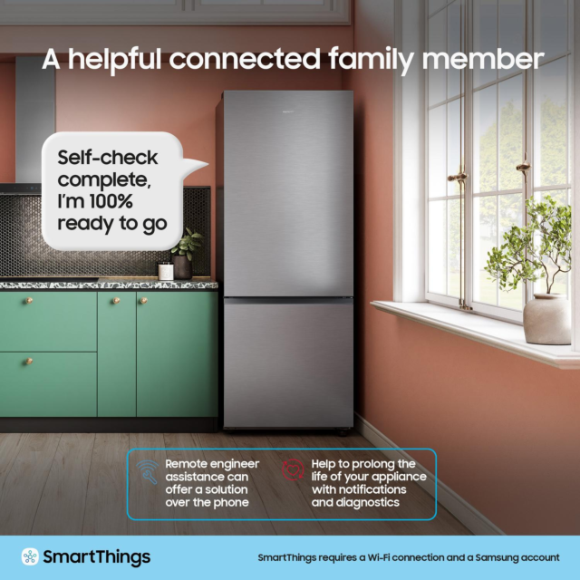 Samsung RB50DG632ES9EU Fridge Freezer - Silver