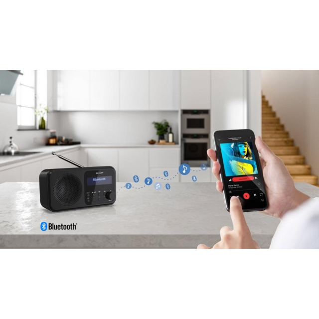 Sharp DR-P420(BK) Wireless DAB Radio - Black