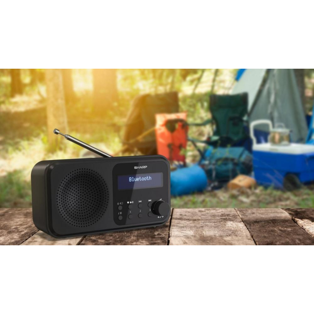 Sharp DR-P420(BK) Wireless DAB Radio - Black