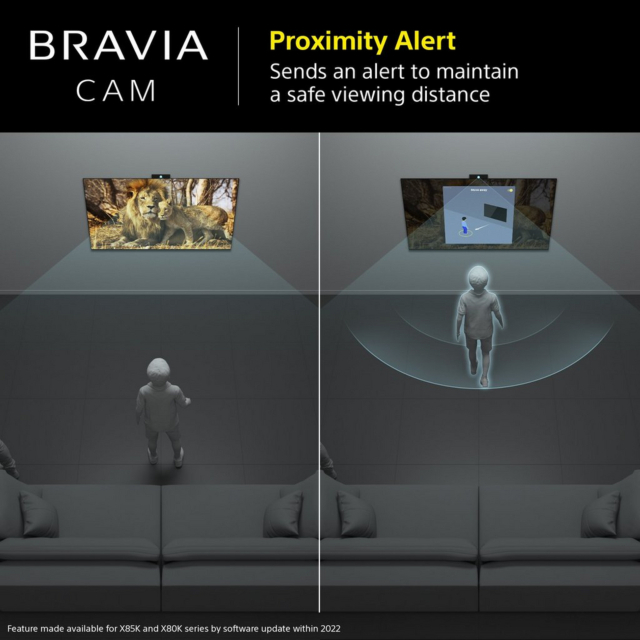 SONY CMUBC1_CE7 Bravia Web Cam