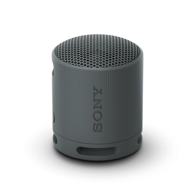 SONY SRSXB100B_CE7 Compact Bluetooth Wireless Speaker - Black