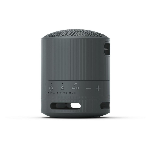 SONY SRSXB100B_CE7 Compact Bluetooth Wireless Speaker - Black
