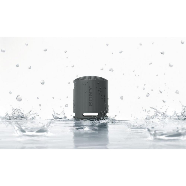 SONY SRSXB100B_CE7 Compact Bluetooth Wireless Speaker - Black