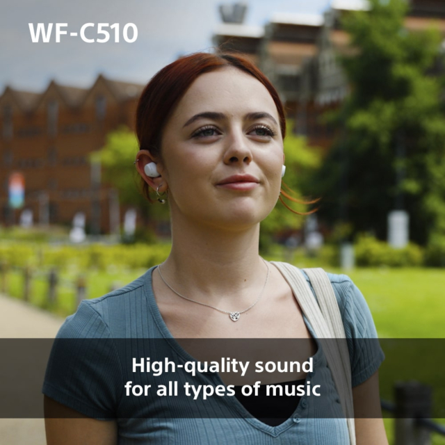 WFC510L.CE7 Wireless In ear headphones - Blue