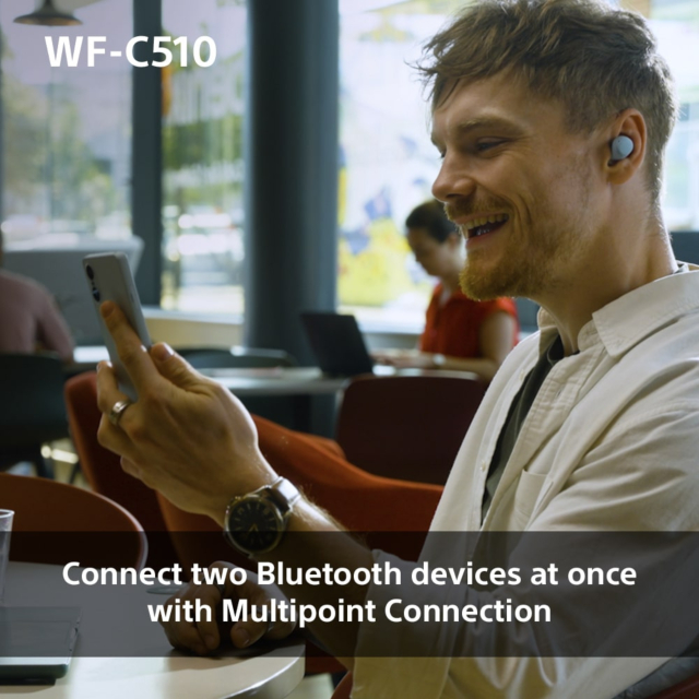 WFC510L.CE7 Wireless In ear headphones - Blue