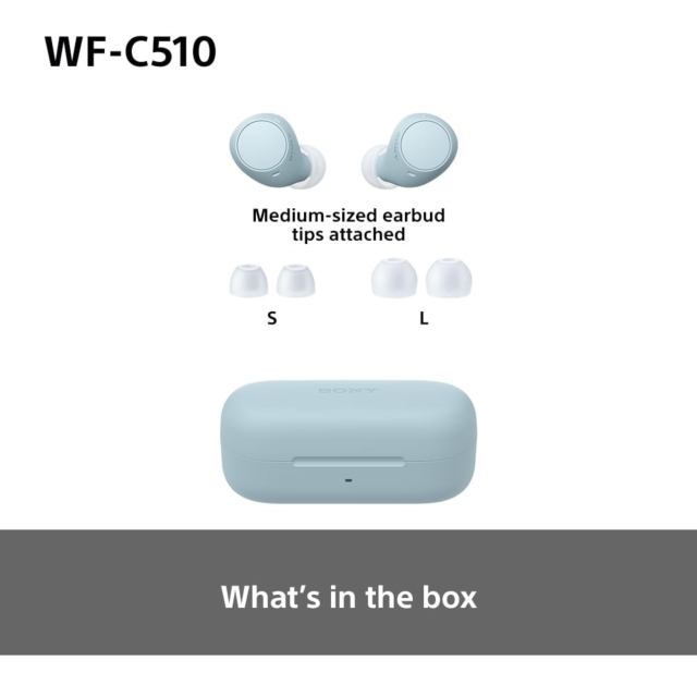 WFC510L.CE7 Wireless In ear headphones - Blue