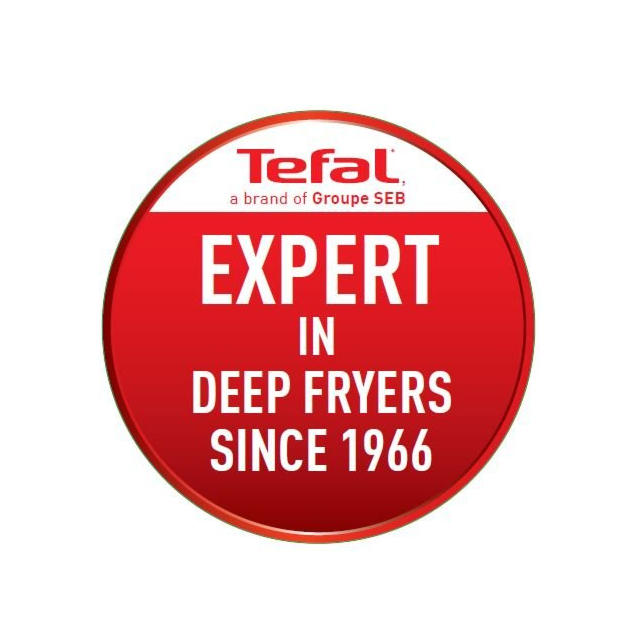 Tefal FR701640 Deep fryer - Grey
