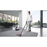 Dyson BIGBALLANIMAL2 Big Ball Animal 2 Vacuum Cleaner - Grey Cylinder