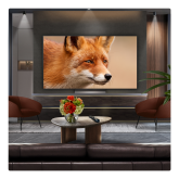 LG OLED65C56LB.AEK OLED evo AI C5 65" 4K Smart TV